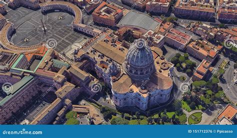 vatican city national bird|Bird List .